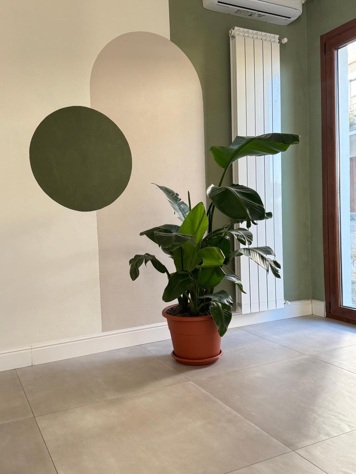 Il Cortile Del Borgo Villa Borgo Ticino Екстериор снимка